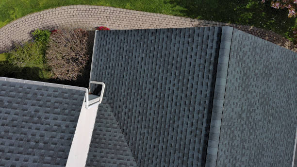 Best Roof Insulation Installation  in Moose Lake, MN